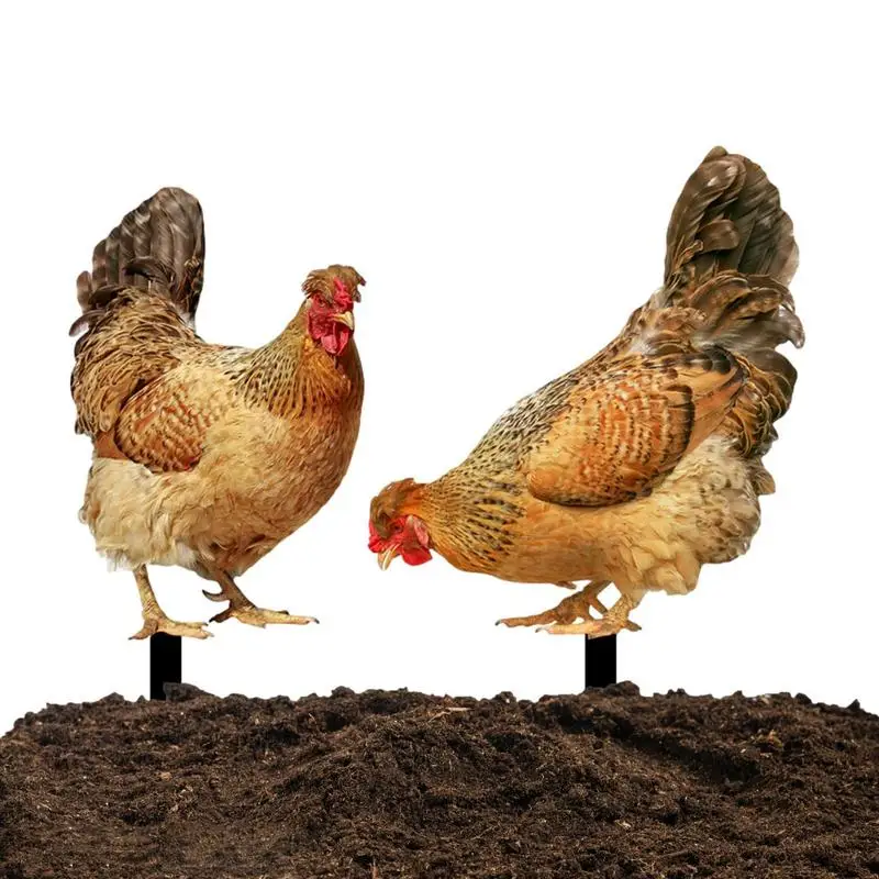 

Chicken Yard Decorations Acrylic Hen Stake Weatherproof Animal Sculpture Realistic Ground Plug Rooster For Garden Patio Yard And