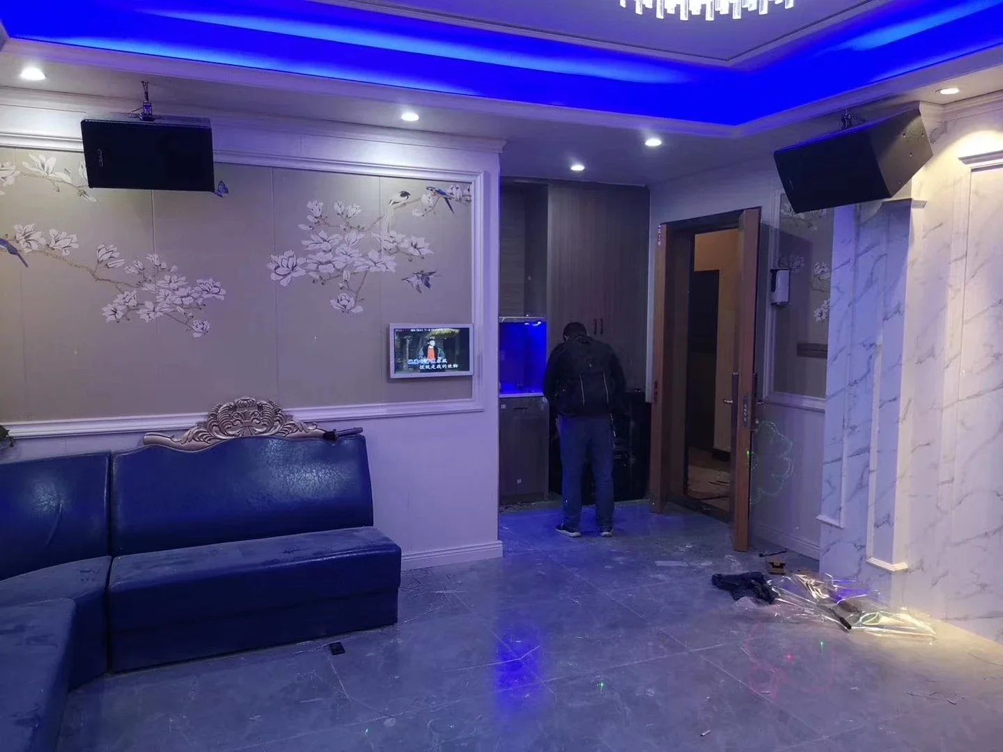 Профессиональная аудиоакустическая система Полнодиапазонный динамик одинарный