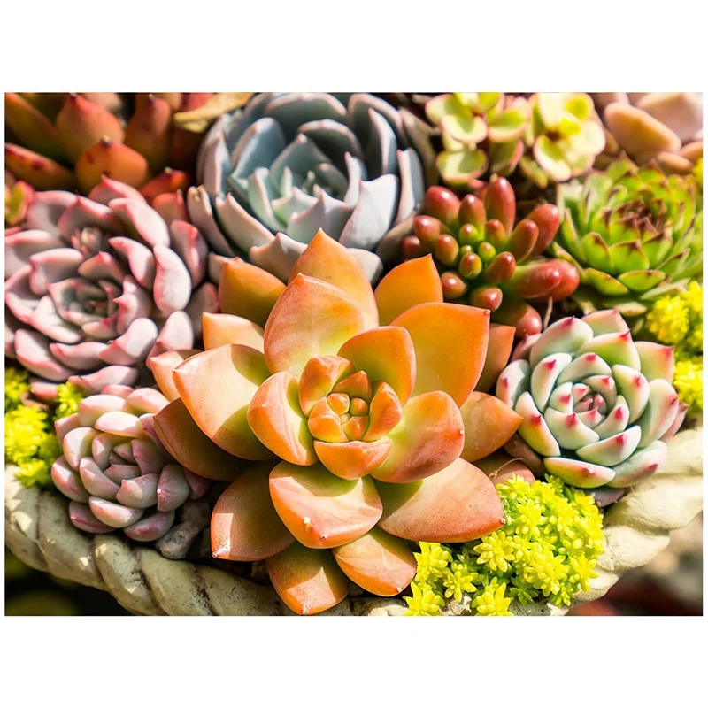 Алмазная краска для взрослых полностью с драгоценными камнями Крафт детский