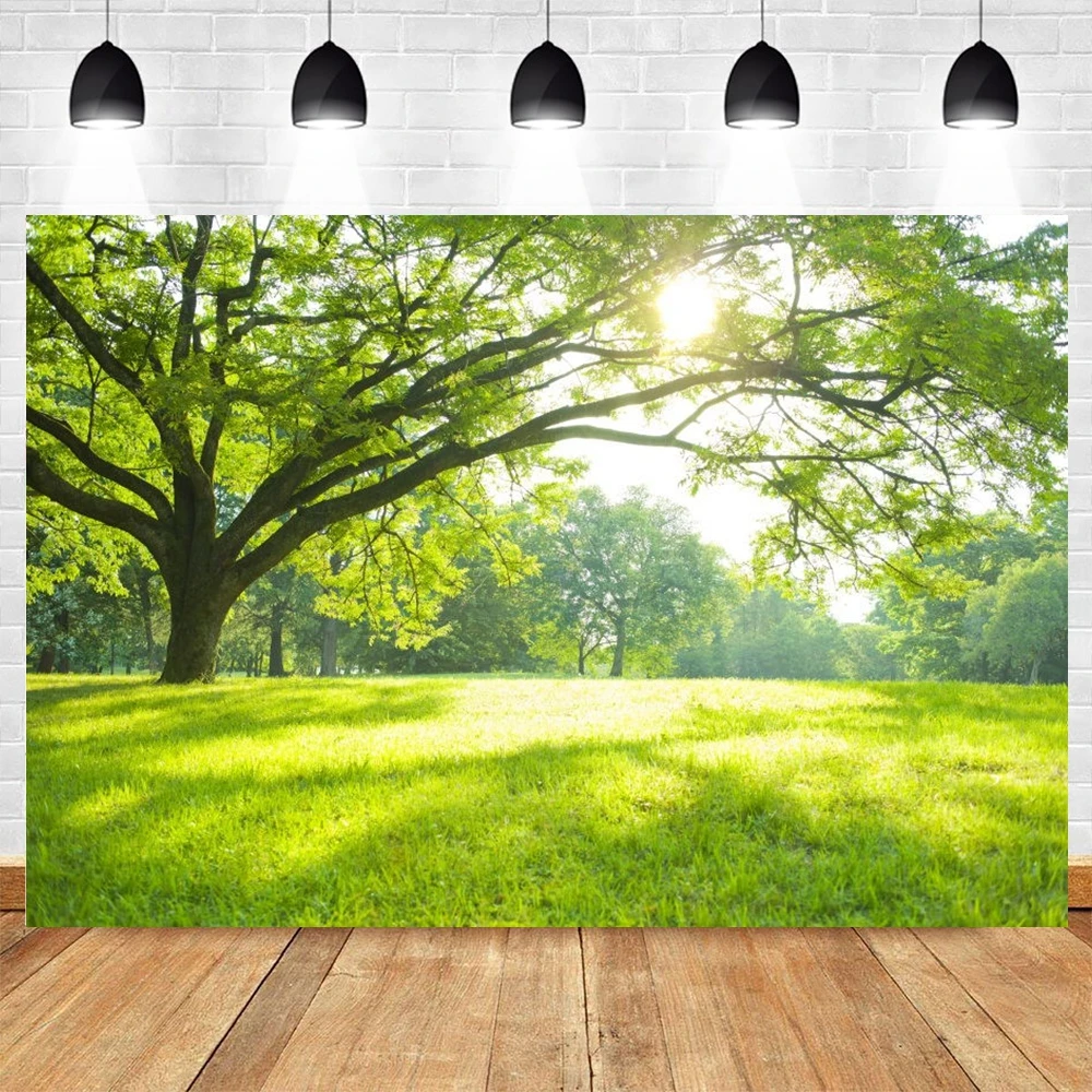 

Nature Spring Backdrop Scenery Tree Sunshine Sky Cloud Grass Field Wedding Birthday Party Photoshoot Photography Background