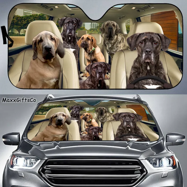 

Автомобильный солнцезащитный козырек FILA бразильский, лобовое стекло Чили Terrier, семейный козырек для собак, автомобильные аксессуары для со...