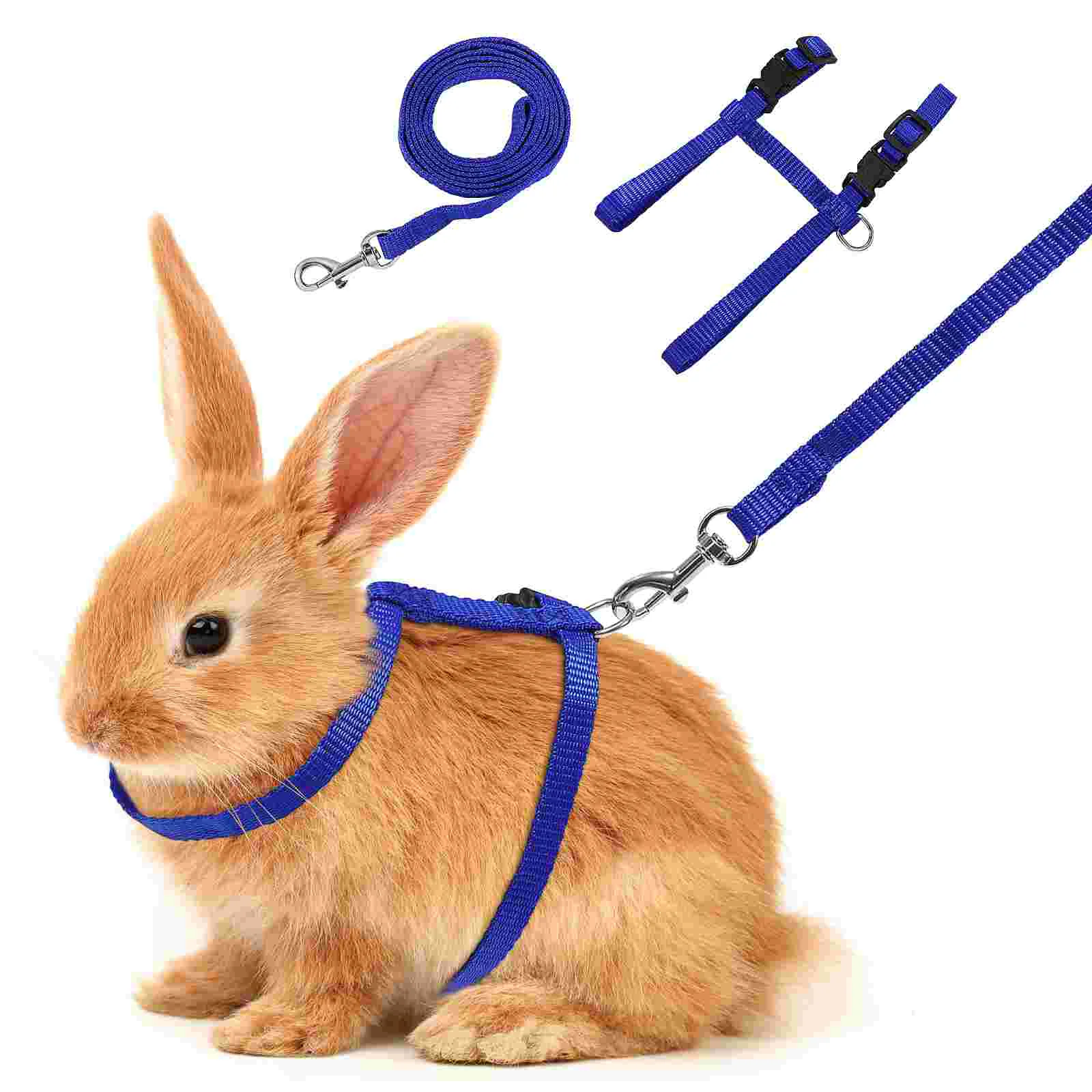 

Adjustable Small Pet Harness and Leash Set for Kitten Ferret Rabbit and Bunny Training and Walking - Cute Accessories Included
