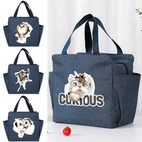 lunch bag cooler tote portable insulated box cat print thermal cold food container school picnic high capacity travel lunchbox
