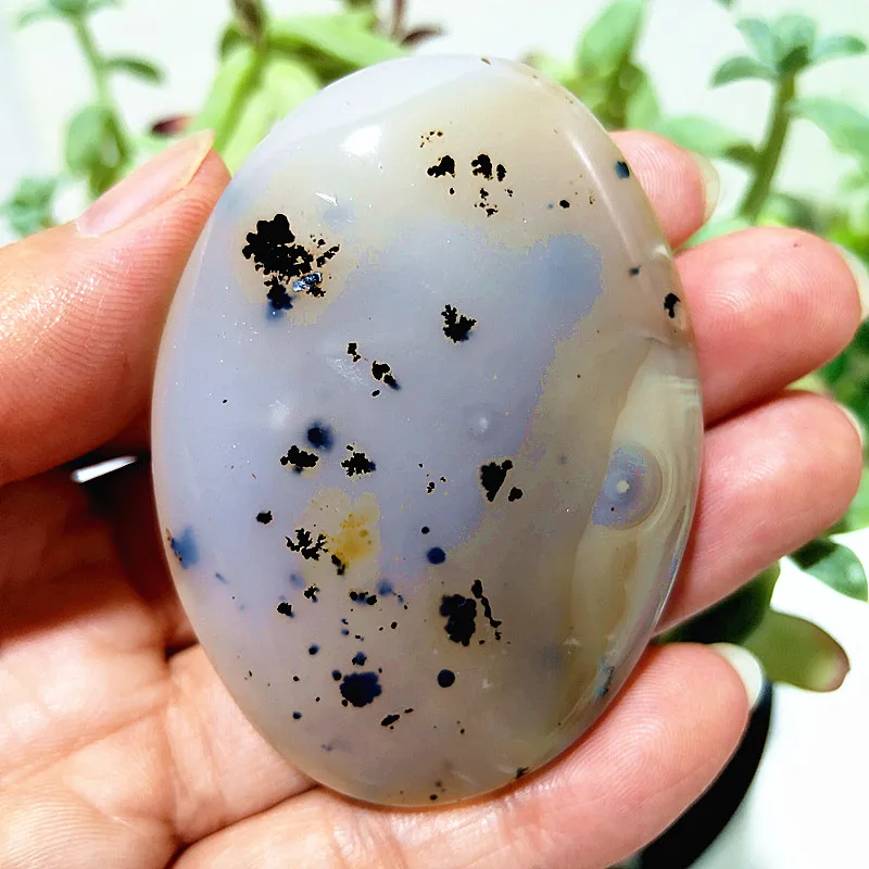 

Хрустальная пальма из агата EBET