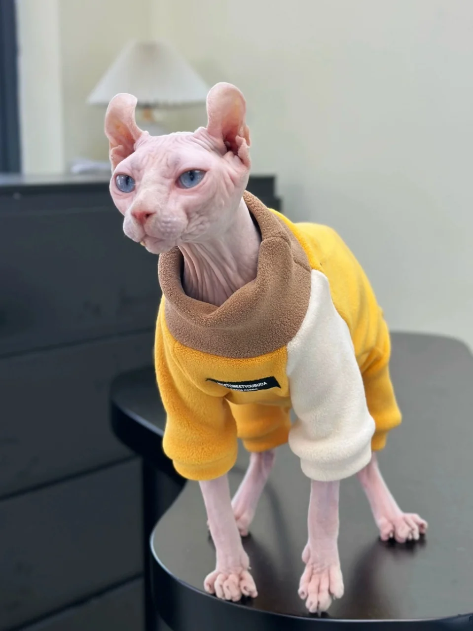 Модное флисовое пальто для кошек Sphynx осенний мягкий желтый комбинезон кофейная
