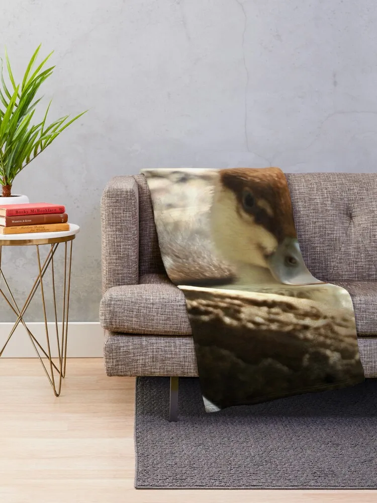 Radjah Shelduck утенок старея на камере плед одеяло косплей аниме лохматые одеяла