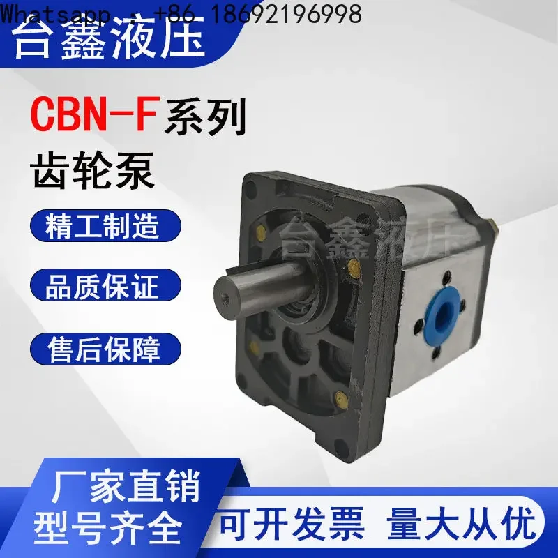 Фото Гидравлический масляный насос, шестеренчатый насос CBN-F310 CBN-F314 CBN-F316 CBN-F320 CBN-F306 №4