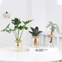 nordic plants hydroponic flower vase crystal decoration accessories for home room decor minimalist vase transparent glass vase