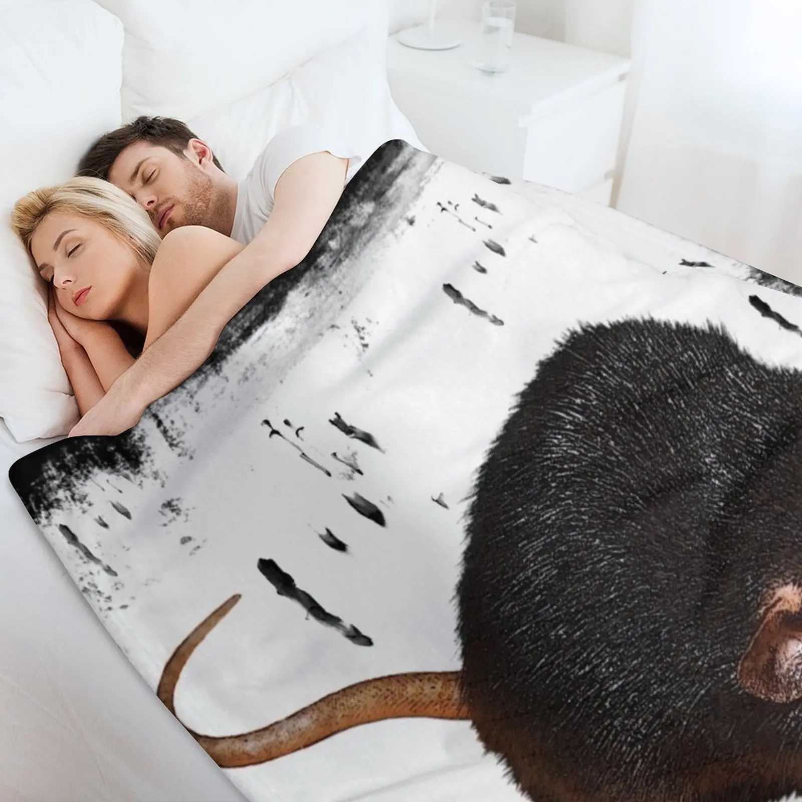 крыса с фоном грызунами милыми домашними животными подарками веером крысы Плед