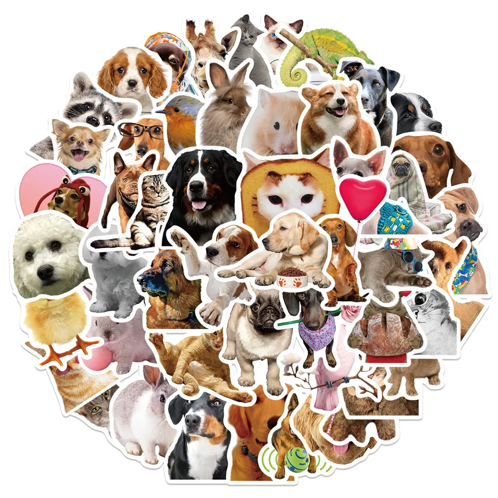 

10/30/50PCS Cute Funny Animal Graffiti Waterproof Sticker Creative Trend Decorative Decal Refrigerator Water Cup GuitarWholesale