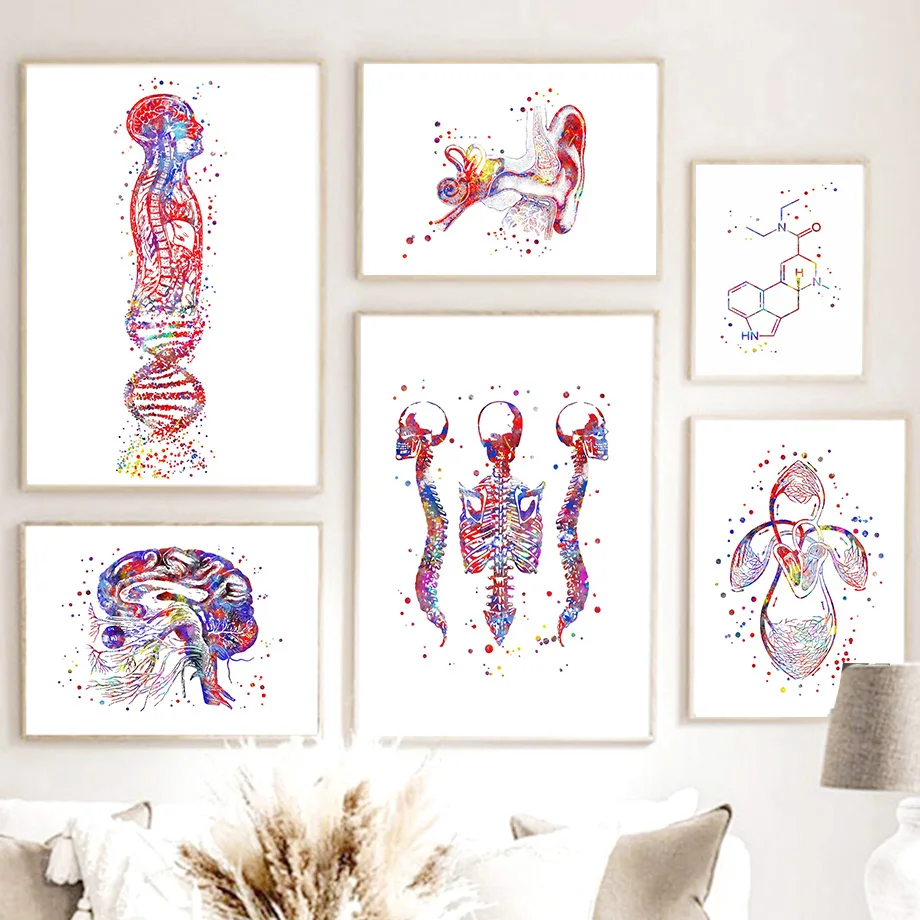 

Watercolor Body Anatomy Medicine Brain Spine Wall Art Canvas Painting Abstract Posters And Prints Wall Pictures For Clinic Decor