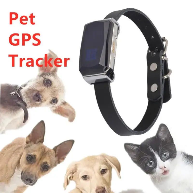 

Ошейник для домашних животных, водонепроницаемый IP67 GPS-трекер для домашних животных, кошек, крупного рогатого скота, Wi-Fi, LBS