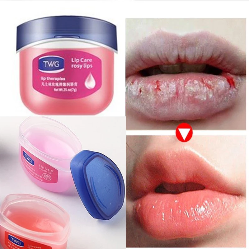6/4Pcs Lip Balm Fade Lip Line Lip Gloss Set Repair Moisturizing Natural Plant  Anti-Crack Lip Care Oil Jelly Lip Balm Cosmetics