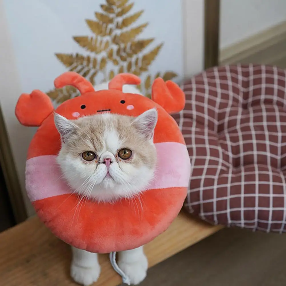 

Cat Elizabethan Collar Useful 5 Colors Adjustable Pet Gift Pet Protective Collar Cat Recovery Collar