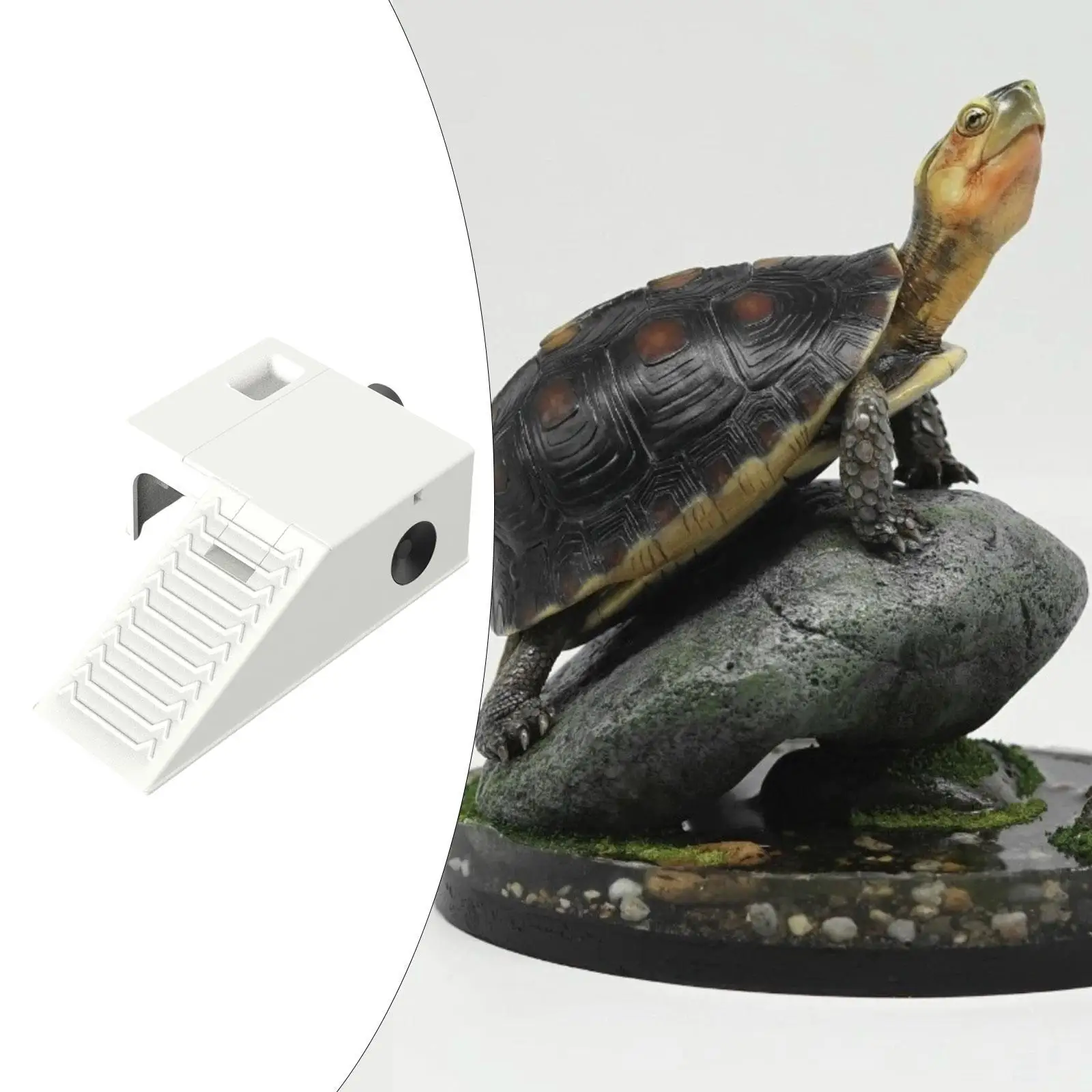 Turtle Resting Basking Platform Reptile Habitat for Salamanders Terrapin