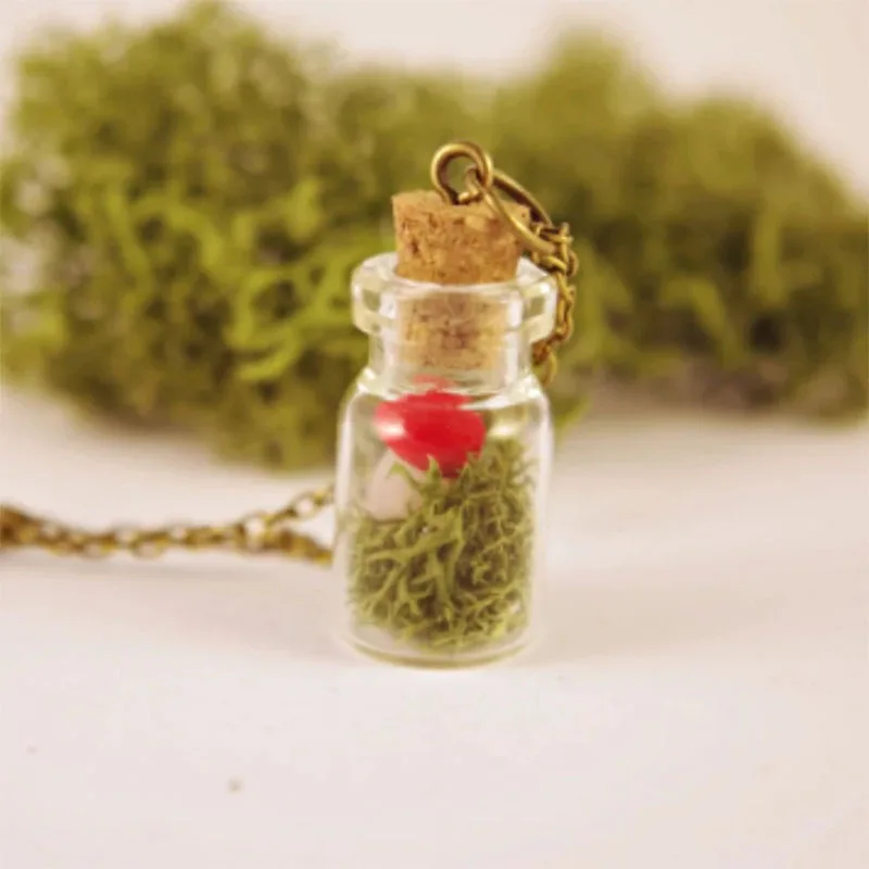 

Red mushroom green moss necklace Pendentif terrarium Woodland moss Real moss nature jewelry Bottle necklace Gift