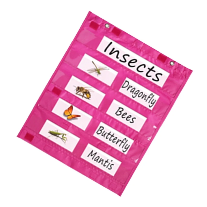 QX2B Магнитная карманная диаграмма для классной доски двусторонняя