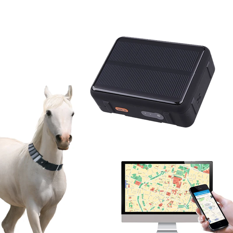 

Mini sheep animal gps tracking v34 activity monitoring system for cow horse cattle collar gps anti lost solar tracker