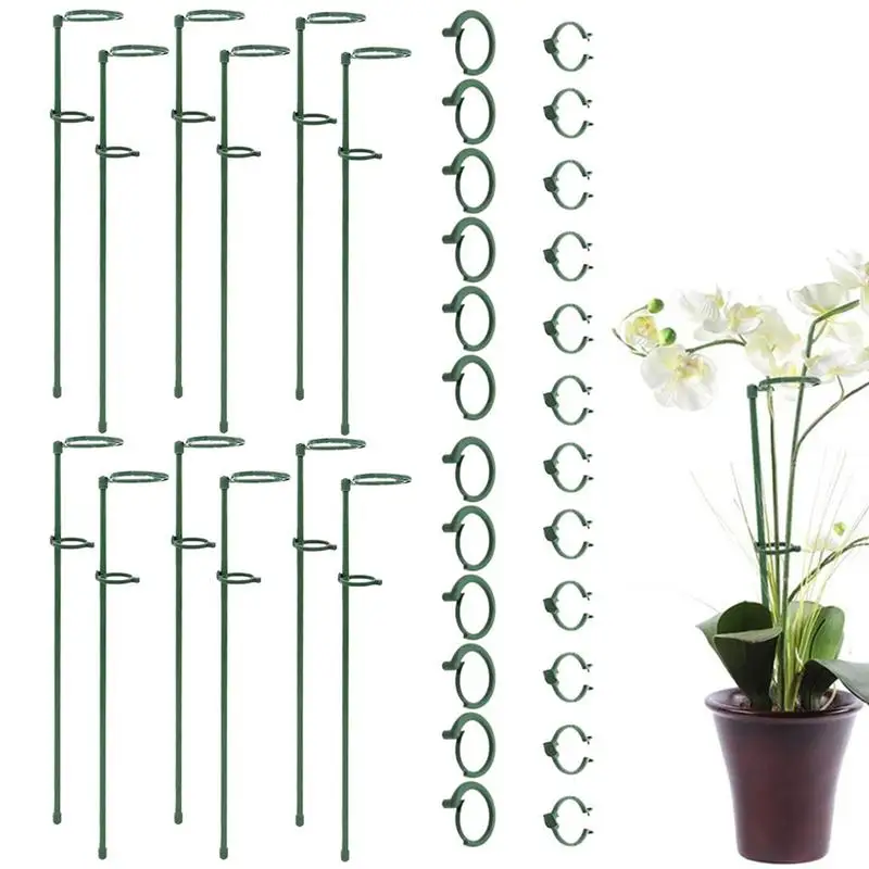 Amaryllis Stakes Garden Support Stake Hoop Glass Fiber Garden Plant Supports 6/12 Pack Single Stem Shrub Vegetable Holder