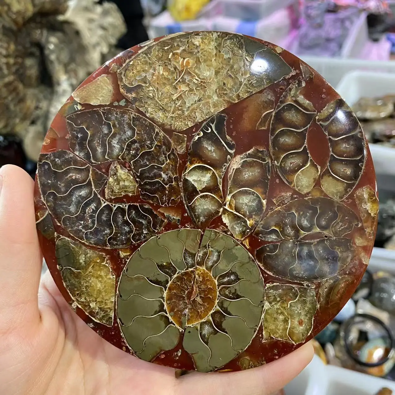 

Природный раковин, ископаемый кристалл, кварц, энергия, драгоценный камень, диск рейки, лечебный подарок, украшение комнаты 10 см