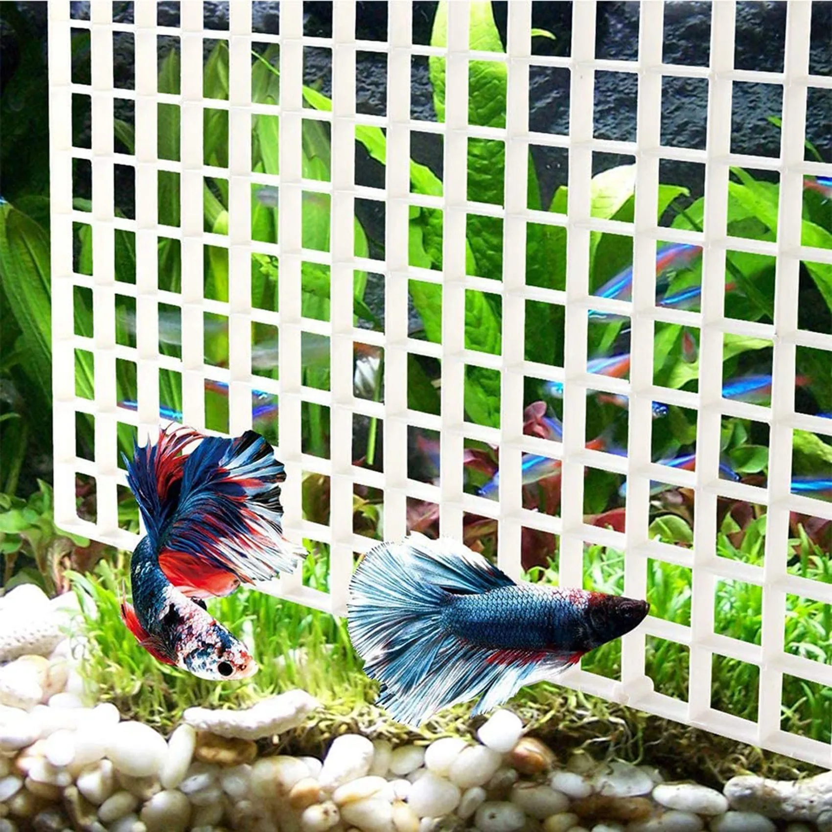 

10PCS Aquarium Divider Fish Tank Divider Filter Grids Separation Grid Tray Isolation Board Grid with 20 PCS Sucker Clips