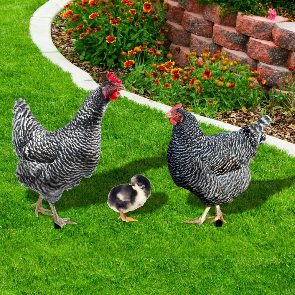 

Garden Stake Ornament 3Pcs Durable Wear-resistant Fine Workmanship Three-dimensional Chicken Garden Art Stake Yard Supply