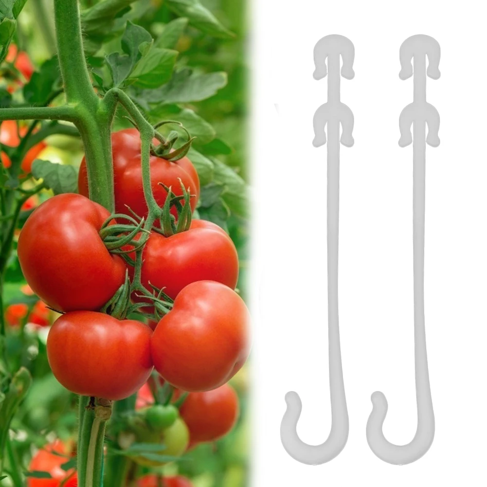 

50pcs J Shaped Fruit Cherry Tomato Agricultural Ear Hook Garden Vegetable Plant Grape Support Vines Fastener Tied Clips Trellis