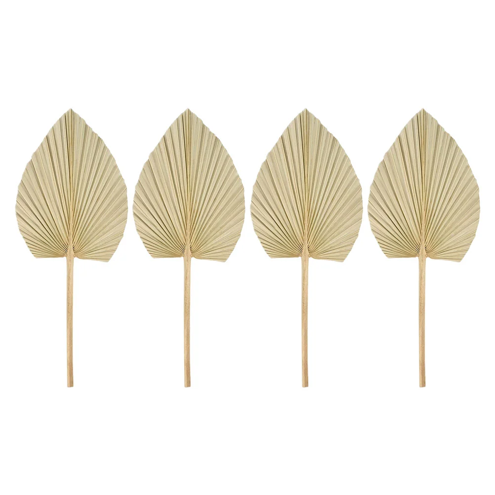 

Palm Dried Leaves Leaf Decor Tropical Decorationparty Weddingnatural Flowers Pampas Wall Flower Bouquettable Fan