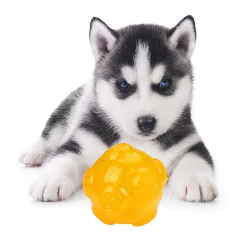 

Pet Chew Toys For Dog Teeth Cleaning Pet Interactive Sounding Toy TPE Bouncy Ball Outdoor Throwing And Recovery Training For Dog