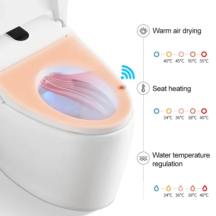 Оптовая продажа современный керамический слитный Электрический биде в западном