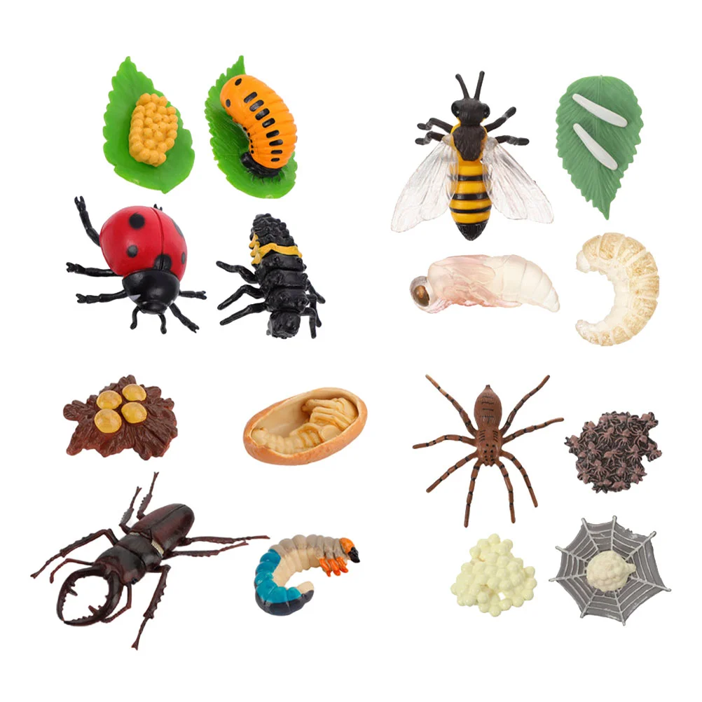 

Animal Growth Cycle Animals Toy Model Educational Supplies Simulation Insect Ornaments