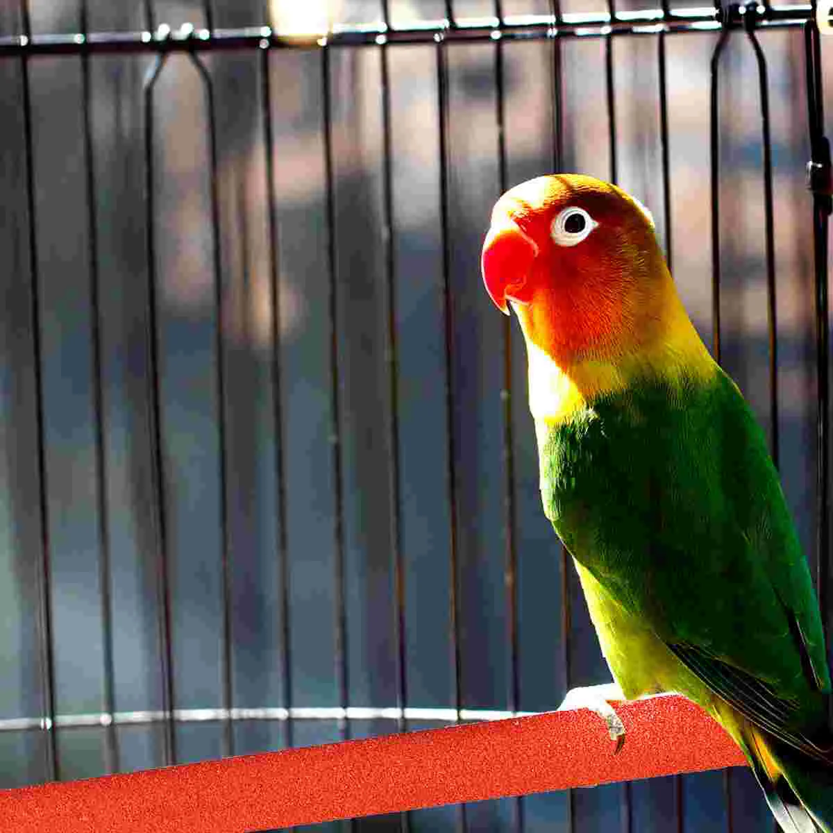 

Матовый стоячий брусок для попугаев, декоративная клетка для игрушек для домашних животных