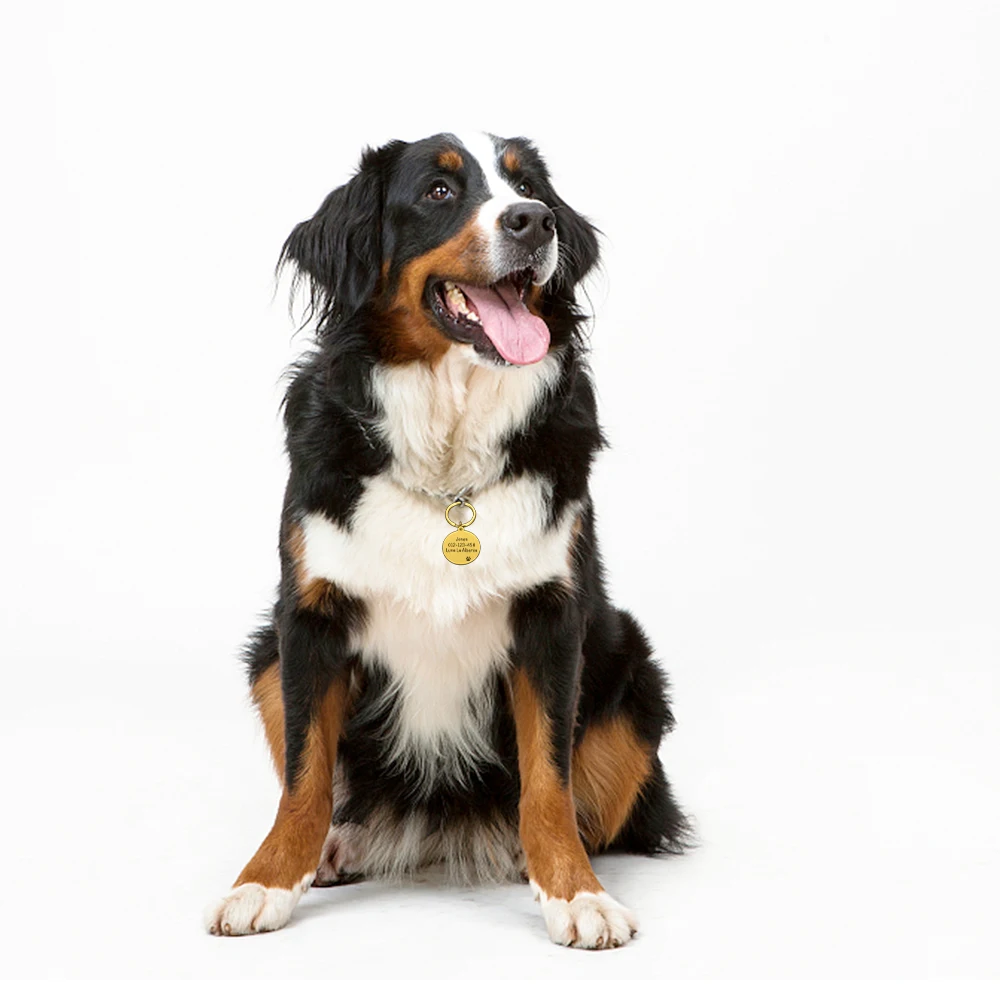 Персонализированные Бирки Для собак с гравировкой идентификатор для кошек и