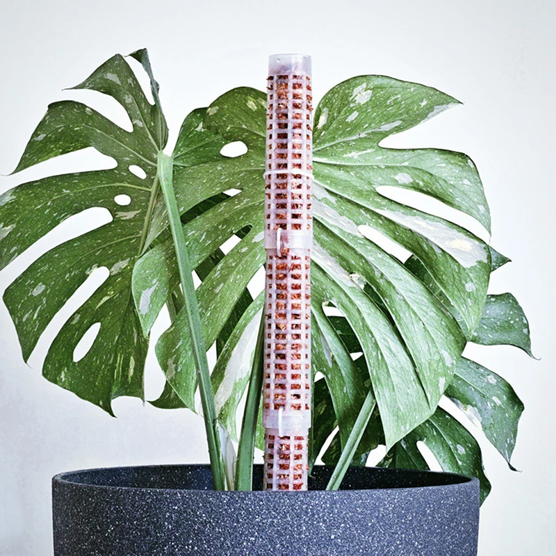 

1Pcs Plastic Hollowed Moss Pole Plant Climbing Frame Stackable Plant Moss Stick Potted Plants Climbing Supporting Stick