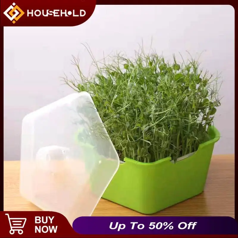 

Ventilate Safe Materials Bean Sprout Growth Tray Health And Environmental Protection Easy To Sow Mould Proof Pot Growth Box