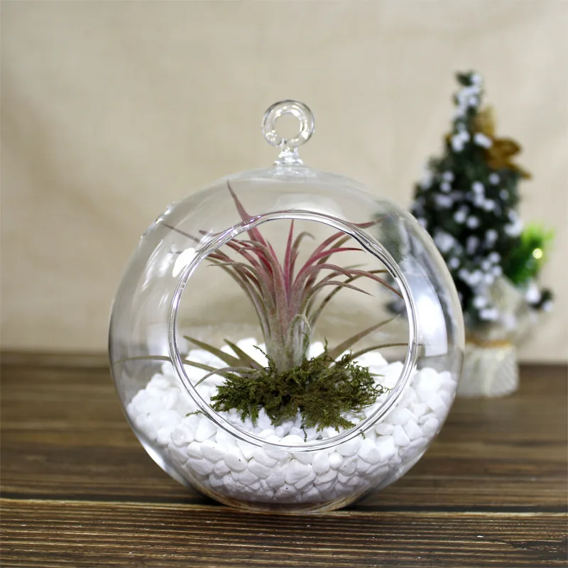 Утолщенные подвесные прозрачные стеклянные микро-шарики суккуленты шарики