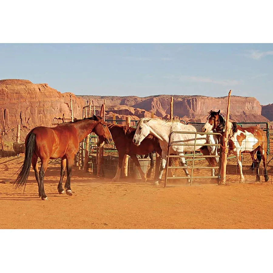 

Фон для фотосъемки с изображением ковбоя в западном стиле