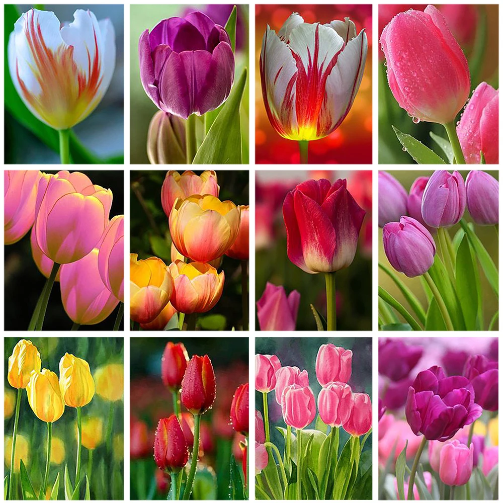 

5D DIY Diamond Painting Tulips Flower Diamond Embroidery Round Drill Cross Stitch Mosaic Sale Home Decor Gift
