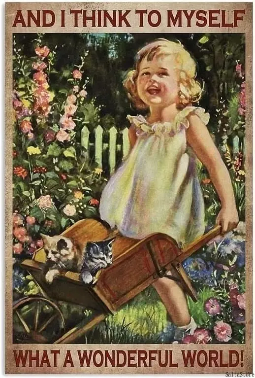 Какой чудесный мир я думаю девушки и кошки винтажный металлический жестяной знак