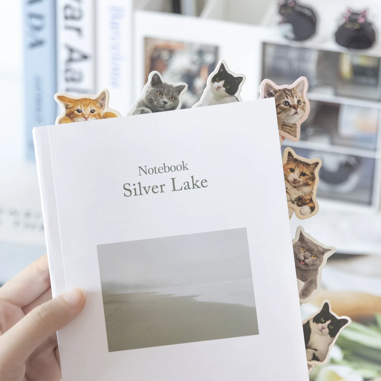 3 шт./упаковка магнитные закладки для книг в виде кошки