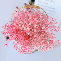 gypsophile decorations for home natural flowers wedding bouquet bouquets of flower bouquets gift for wedding decoration home