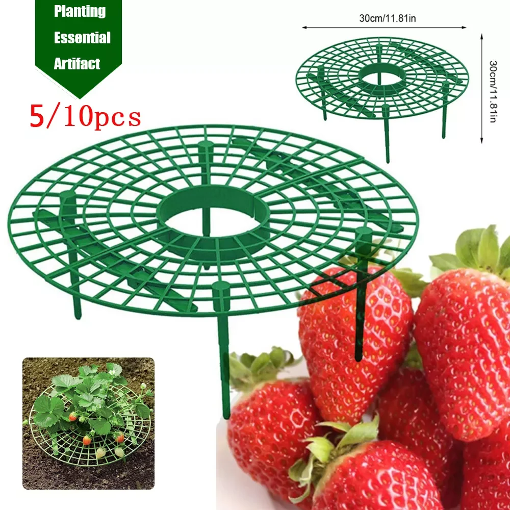 

5/10/20 шт. подставка для клубники, держатель, стойка для фруктов, подставка для растений, цветов, подъема, лозы, столба, садовая стойка