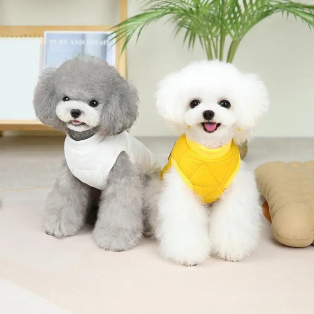 

Puppy Warm Vest Two-legged Soft Texture Button Closure Windproof Cartoon Keep Warm Pet Snowsuit Puppy Winter Down Vest for Outdo