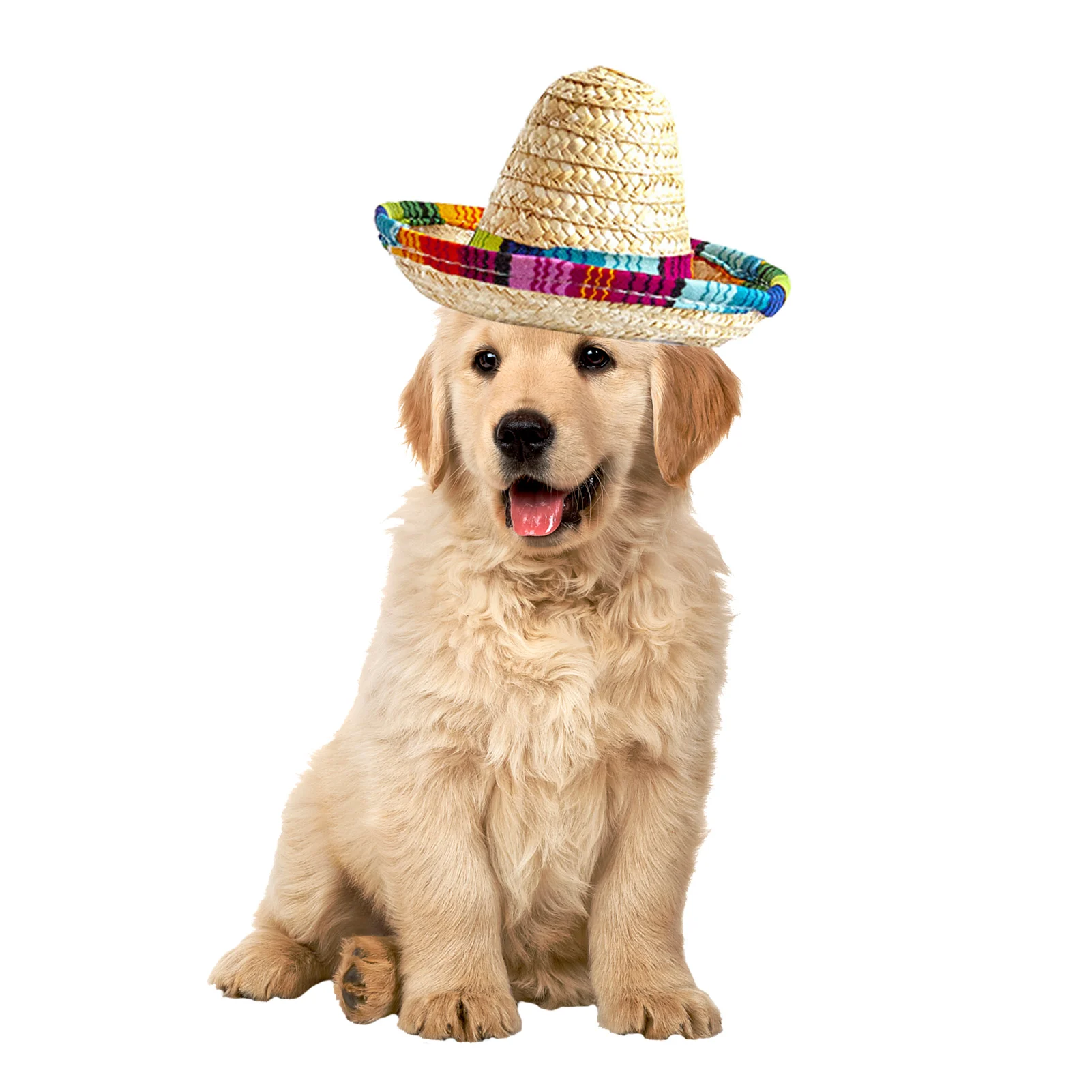 

Mexican Dog Straw Hat Mini Dog Hat Handcrafted From Natural Fabrics And Straw Portable Decoration Hat For Mexican Cinco De