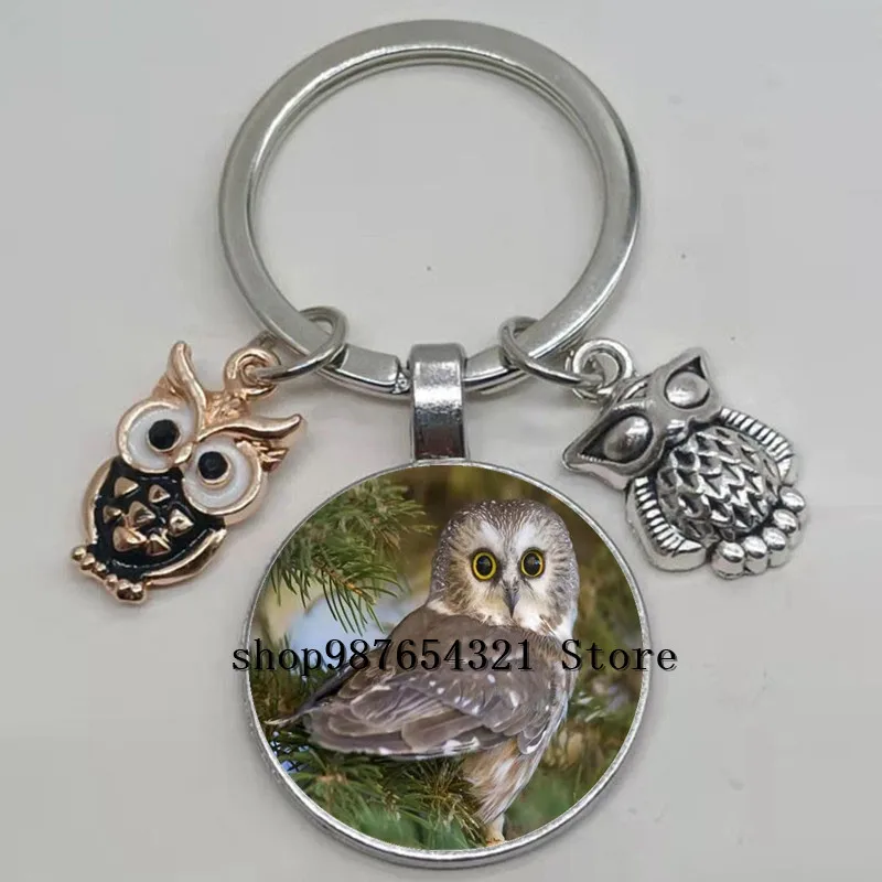 Hot sale cute owl keychain big eyes bird retro painting glass convex men and women car bag pendant jewelry | Украшения и