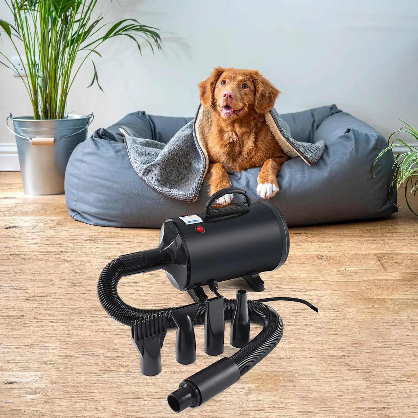 

Portable Dog Blow Dryer Grooming Hair Dryer Pet Blower Small Medium Large Dogs 2200W 4 Nozzles Hairdryer for Washing Bathing
