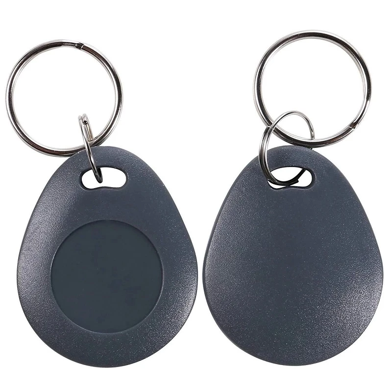 10Pcs Gray RFID ID 125KHz EM4305 T5577 Waterproof Blank Key Ring Tag Copy Writable Rewritable Keyfobs Card Fast Shipping - купить по