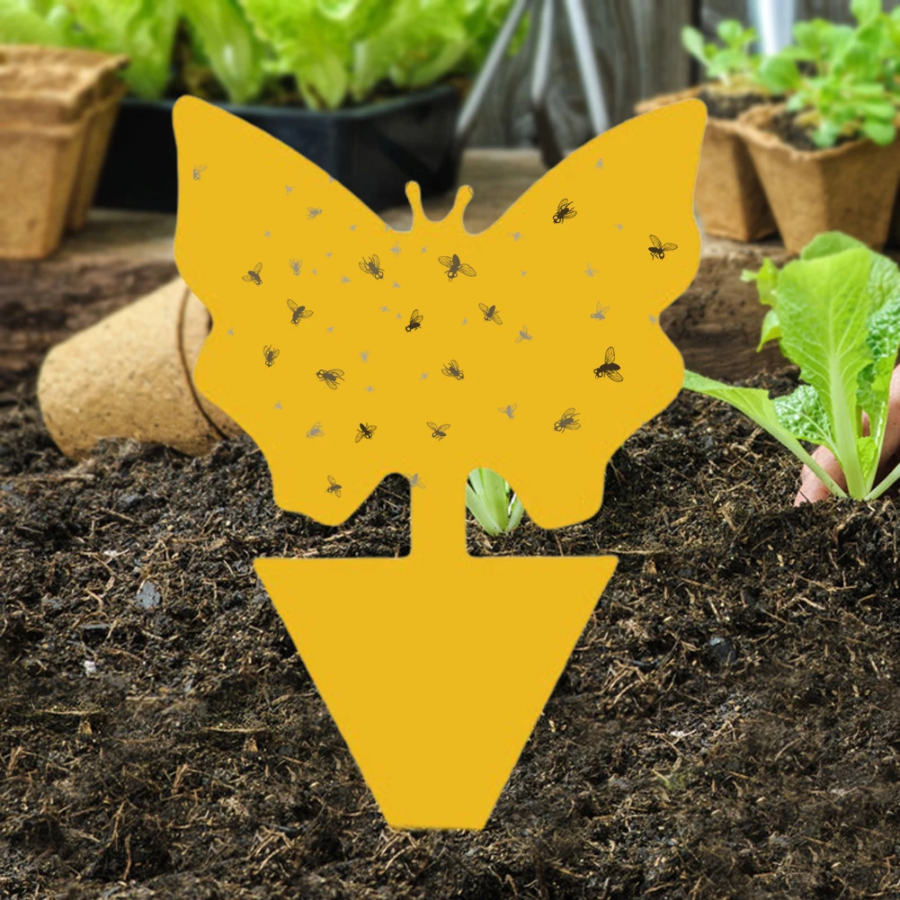 40 шт. липкие ловушки для фруктовых мух нетоксичные и желтые насекомых без запаха