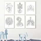 Медицинская Анатомия человека, органный скелет, настенный плакат, печать мозга, сердца, черепа, почки, холст, живопись, нордическая клиника, больница, Декор