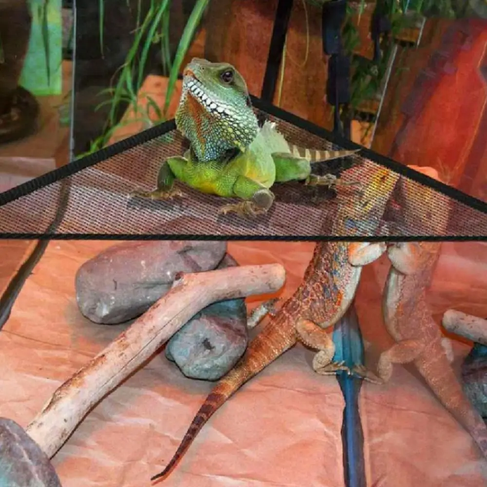 2 упаковки подвесной гамак-дракон